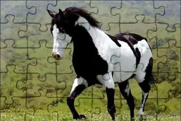 cheval jigsaw puzzle