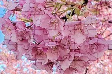 flower jigsaw puzzle