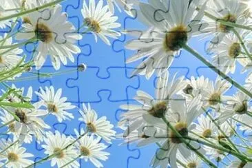 flower jigsaw puzzle