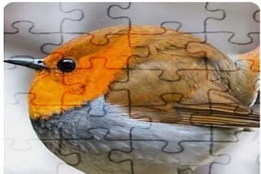 natural jigsaw puzzle