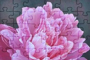 imagem jigsaw puzzle