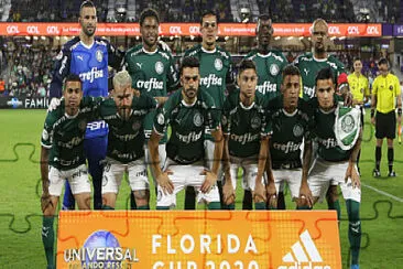 Palmeiras FlÃ³rida jigsaw puzzle