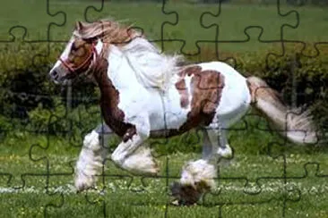 fenomenal jigsaw puzzle