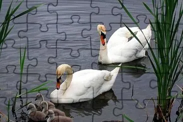 natural jigsaw puzzle