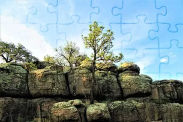 Parque nacional de Majalca, México. jigsaw puzzle