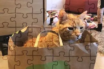 Indie jigsaw puzzle