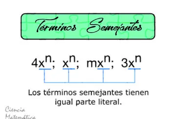 tÃ©rminos semejantes