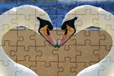 vzla jigsaw puzzle