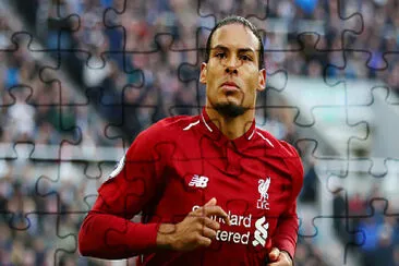 van djik jigsaw puzzle