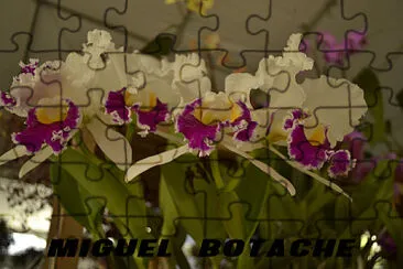 desfile de flores jigsaw puzzle