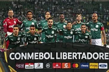 palmeiras 1