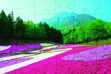 colors jigsaw puzzle