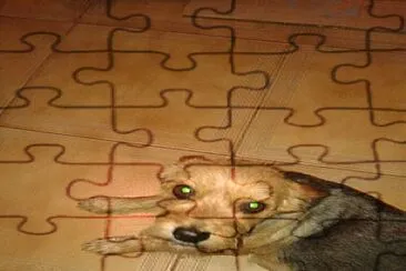 mascotas jigsaw puzzle