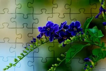 imagem jigsaw puzzle