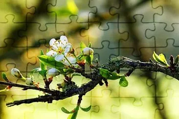 imagem jigsaw puzzle