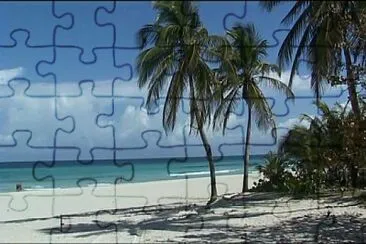 vzla jigsaw puzzle