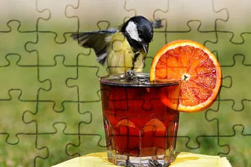 aperitivo cinciallegra jigsaw puzzle