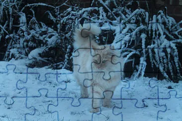 êœ±É´á´á´¡ á´„á´€á´›â„ï¸ jigsaw puzzle