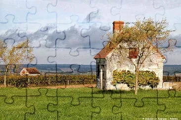 NATUREZA jigsaw puzzle