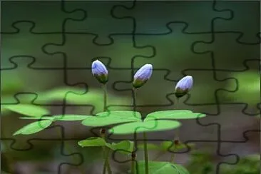 natureza jigsaw puzzle