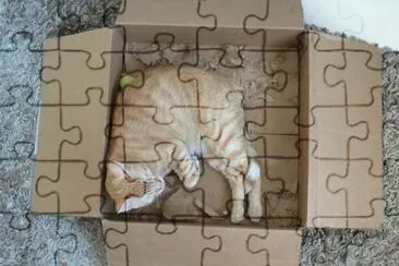 My Fun Stuff jigsaw puzzle