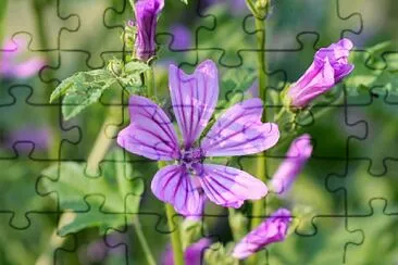  jigsaw puzzle