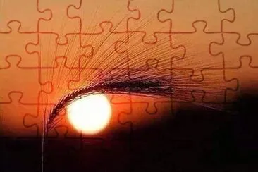 natural jigsaw puzzle