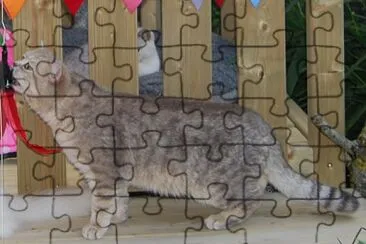 Blue golden scotted jigsaw puzzle