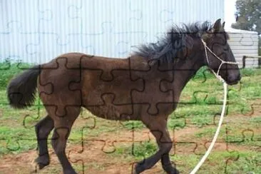 Galloway jigsaw puzzle