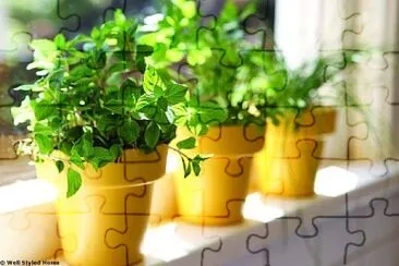 natural jigsaw puzzle