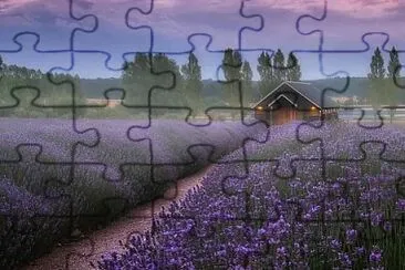 flores jigsaw puzzle