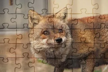  jigsaw puzzle