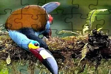 natural jigsaw puzzle