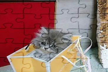 ØªØ´Ø§Ùˆ jigsaw puzzle