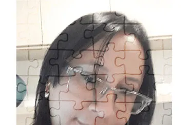  jigsaw puzzle