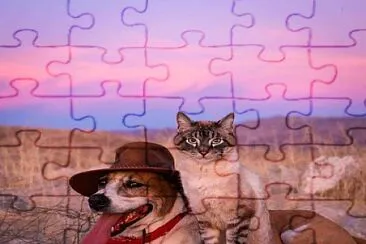 cores jigsaw puzzle