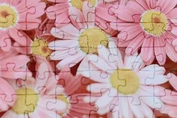 flower jigsaw puzzle