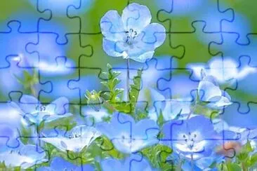 flower jigsaw puzzle