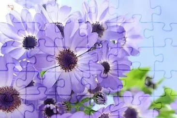 flower jigsaw puzzle