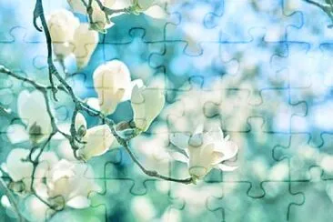 flower jigsaw puzzle