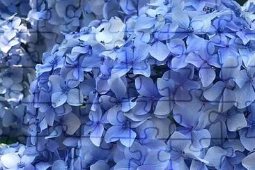 flores jigsaw puzzle