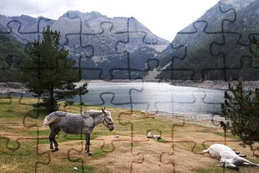 chevaux au lac jigsaw puzzle