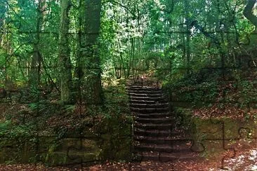 bosque encantado-pontevedra