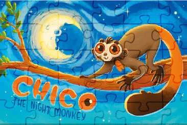 CHICO THE NIGHT MONKEY