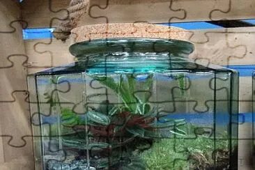 פאזל של Terrarium