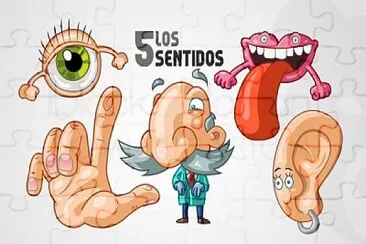 sentidos del cuerpo humano