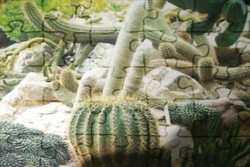 Terrarium jigsaw puzzle