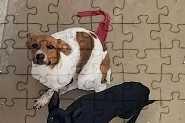 Dogs jigsaw puzzle