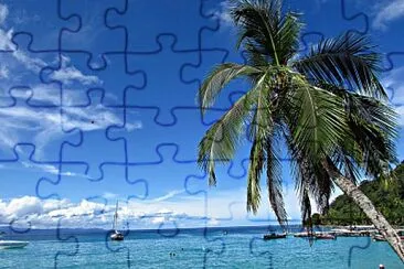 vzla jigsaw puzzle