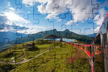 trenes jigsaw puzzle